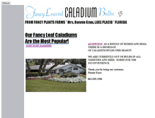 Tablet Screenshot of caladiums.com